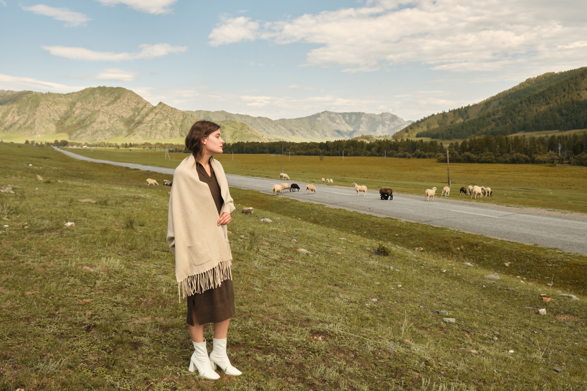 Монгольский кашемир: история и традиции производства Монгольский кашемир: история и традиции производства